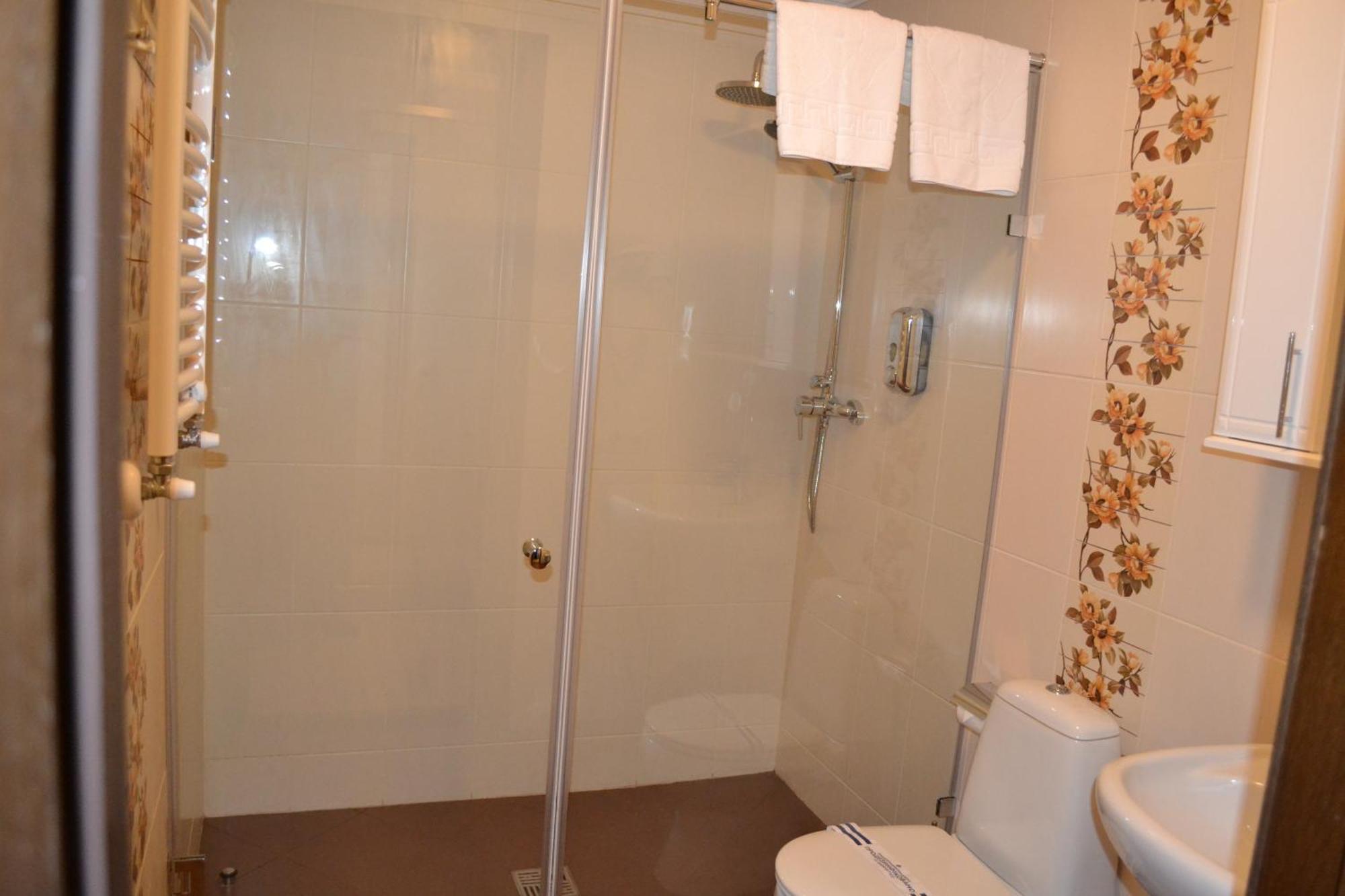Zolota Forel Hotel Korostov Стая снимка